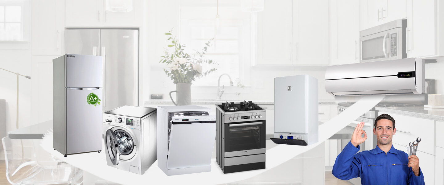 Adilcevaz Electrolux Servisi